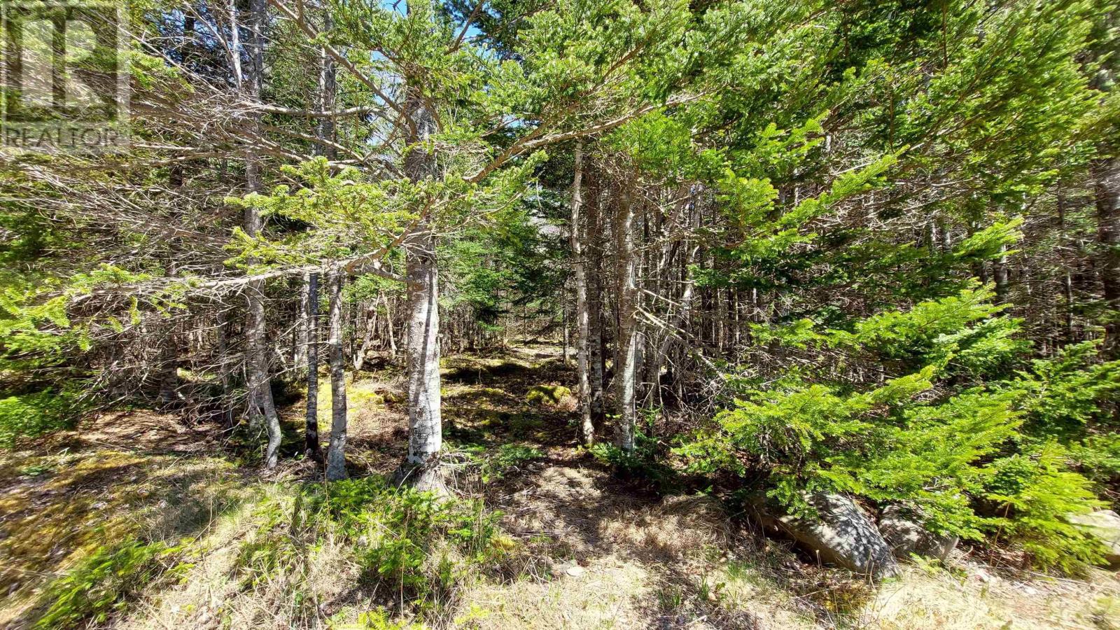 Lot 28 Helmuts Lane, Cleveland, Nova Scotia  B0E 1J0 - Photo 11 - 202603560