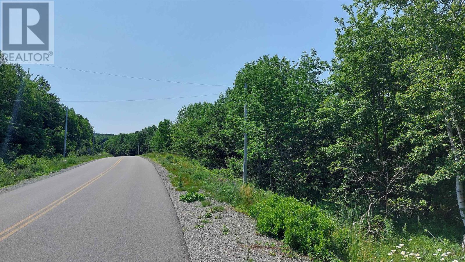Lot 28 Helmuts Lane, Cleveland, Nova Scotia  B0E 1J0 - Photo 17 - 202603560
