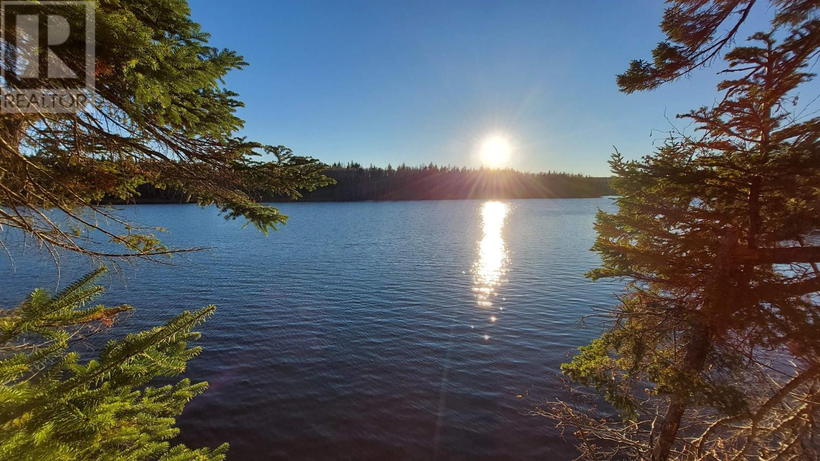 Lot 28 Helmuts Lane, Cleveland, Nova Scotia  B0E 1J0 - Photo 9 - 202603560