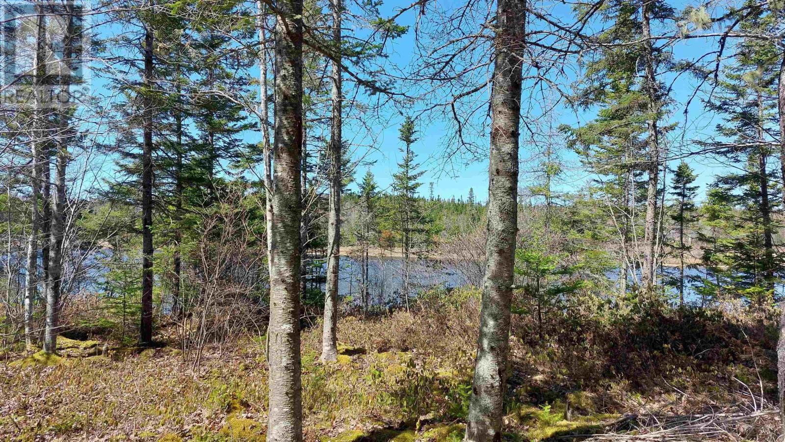 Lot 25 Andreas Popp Lane, Evanston, Nova Scotia  B0E 1J0 - Photo 11 - 202608430