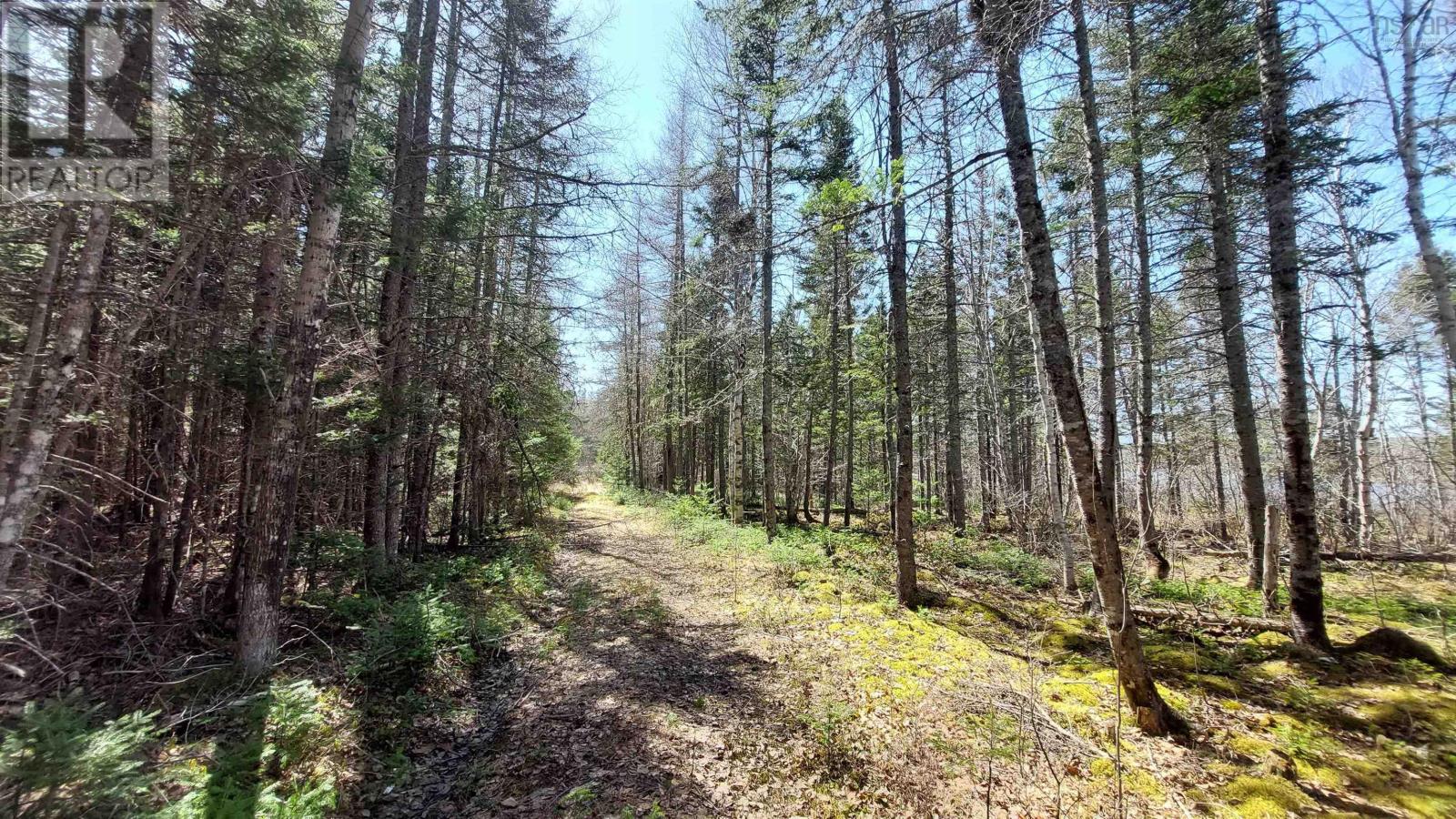 Lot 25 Andreas Popp Lane, Evanston, Nova Scotia  B0E 1J0 - Photo 12 - 202608430