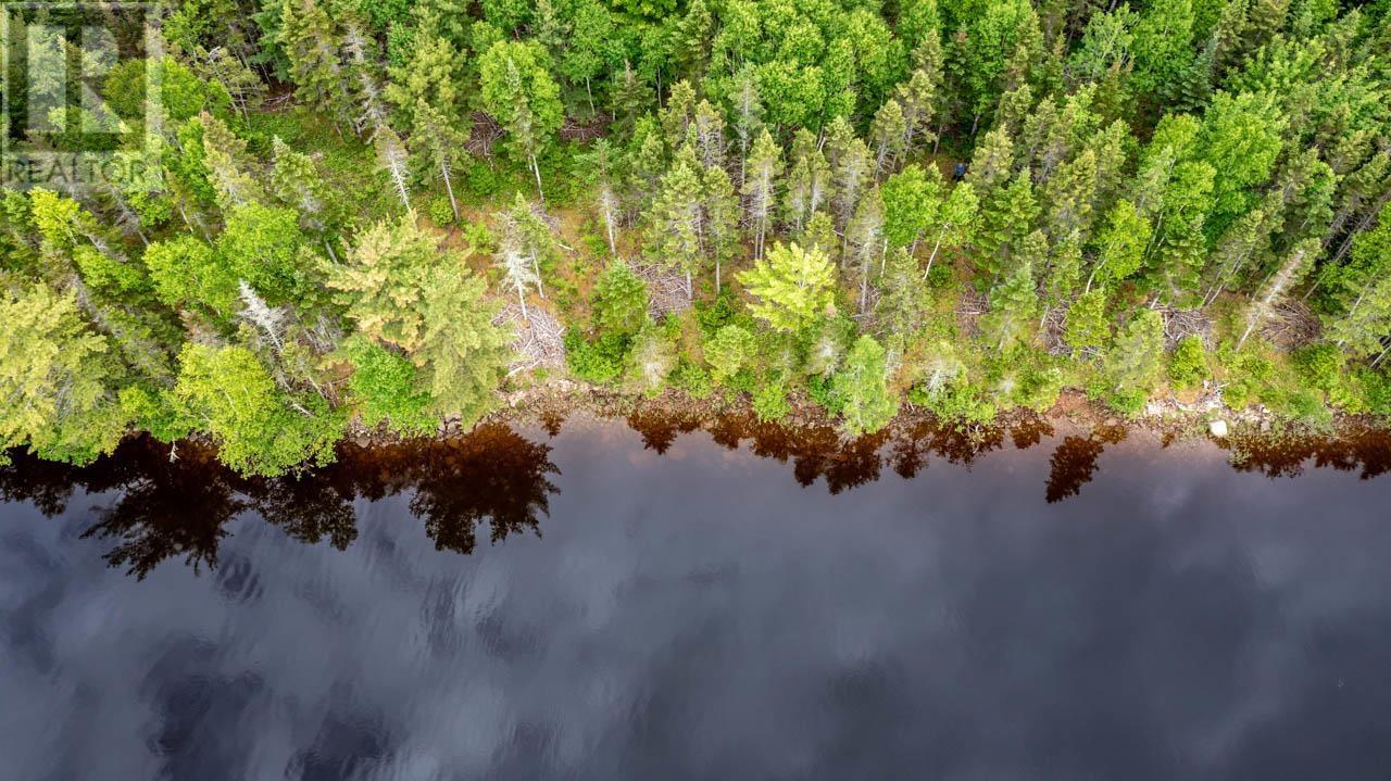 Lot 25 Andreas Popp Lane, Evanston, Nova Scotia  B0E 1J0 - Photo 9 - 202608430