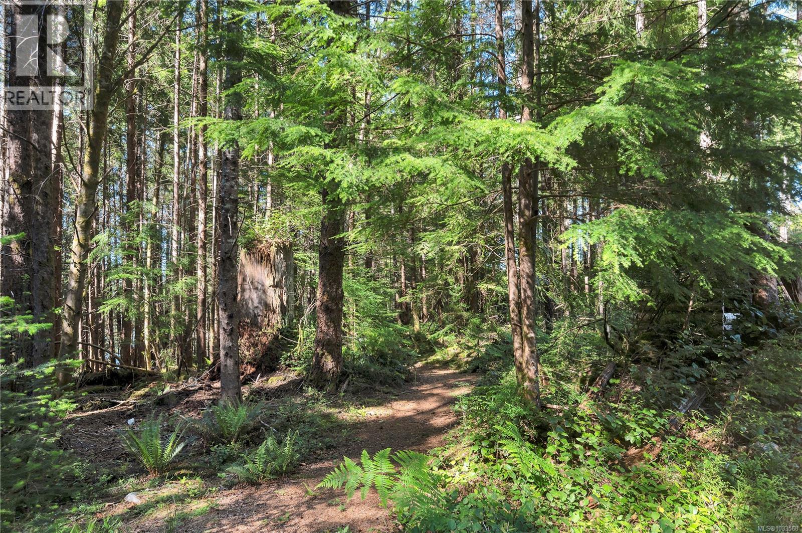 1676 Kanish View Dr, Quadra Island, British Columbia  V0P 1H0 - Photo 76 - 1033568