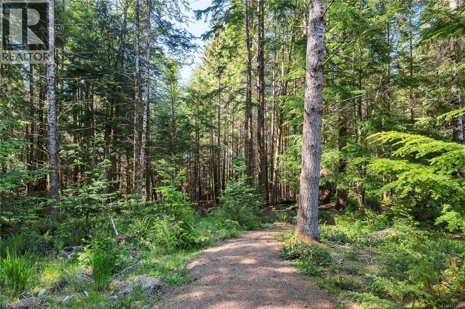 1676 Kanish View Dr, Quadra Island, British Columbia  V0P 1H0 - Photo 75 - 1033568