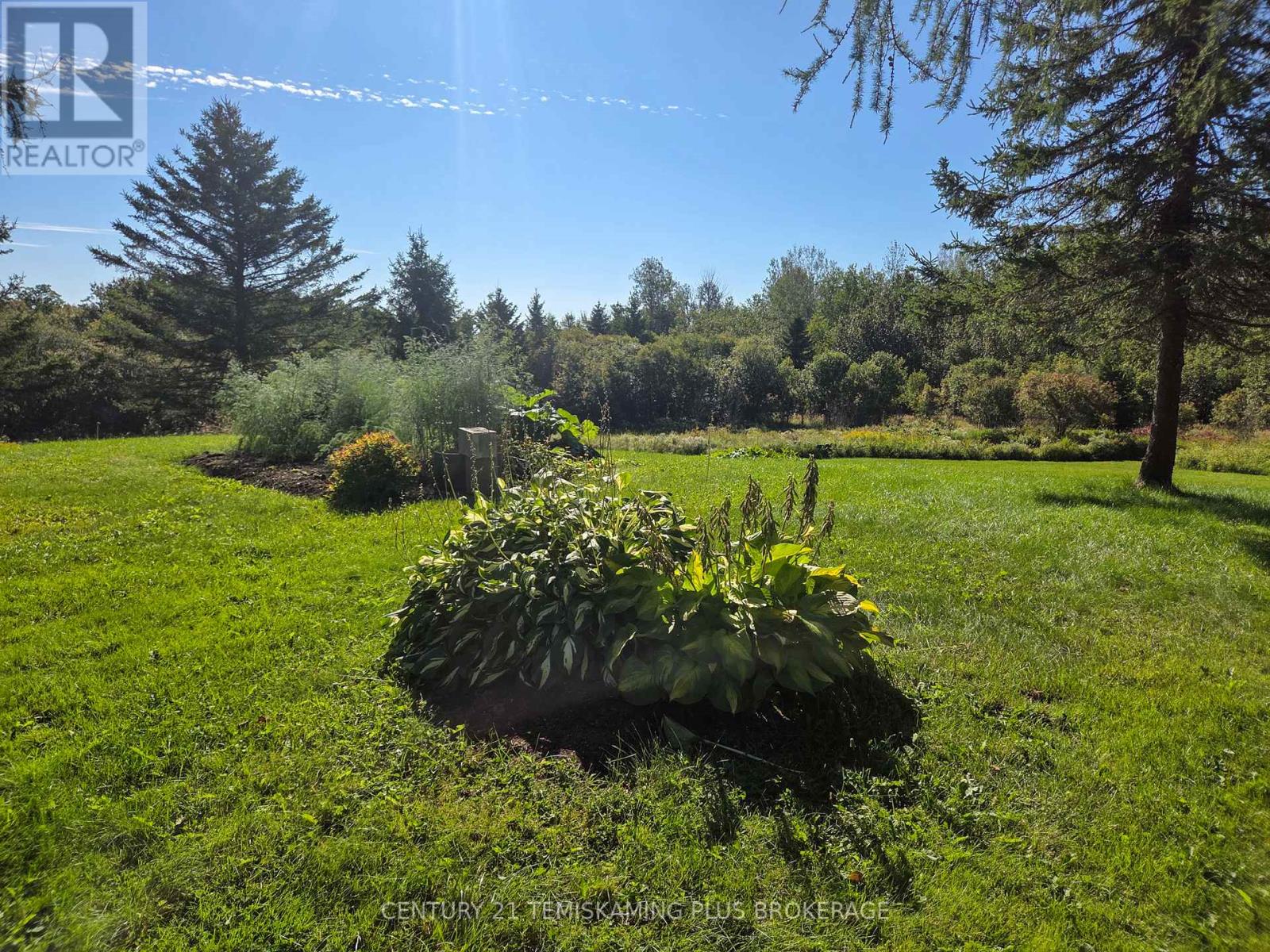 427324 Chamberlain 3 Road, Englehart, Ontario  P0J 1H0 - Photo 41 - T13050630