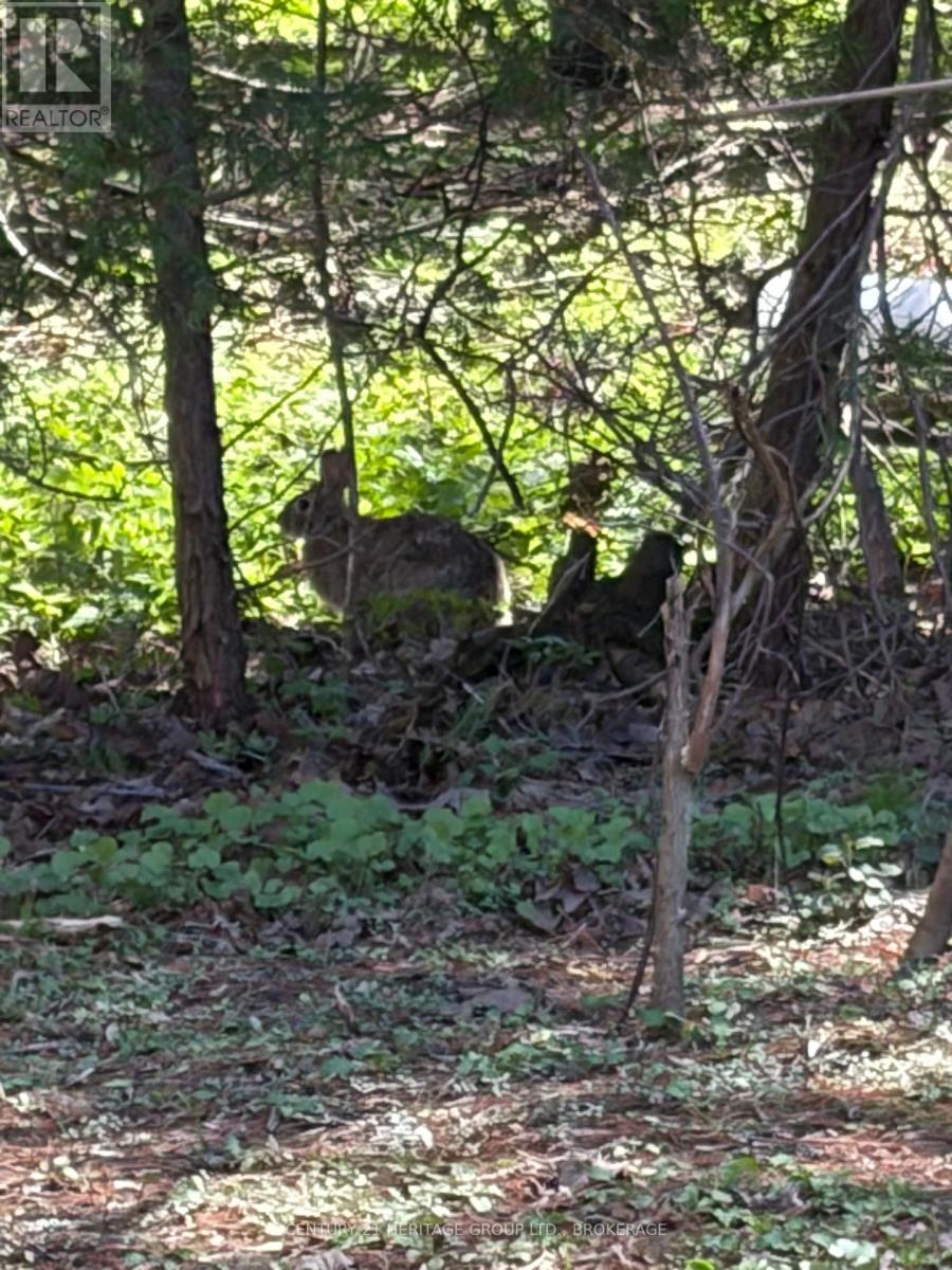 O - 431 Lyndhurst Road, Leeds And The Thousand Islands, Ontario  K0E 1N0 - Photo 14 - X13050644