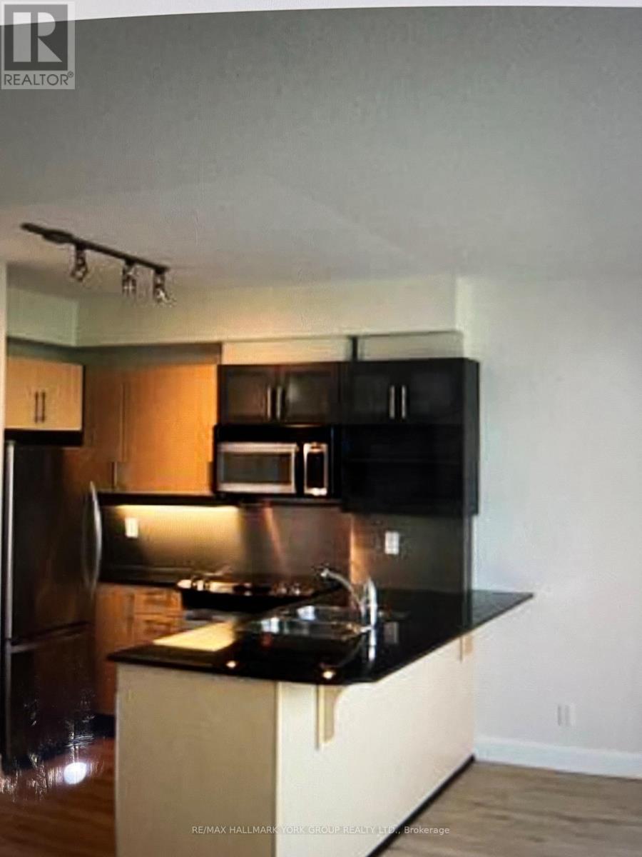 304 - 350 Wellington Street W, Toronto, Ontario  M5V 3W9 - Photo 4 - C13050738