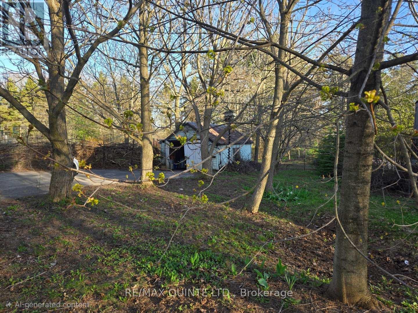 163 Main Street, Prince Edward County, Ontario  K0K 1G0 - Photo 5 - X12855046