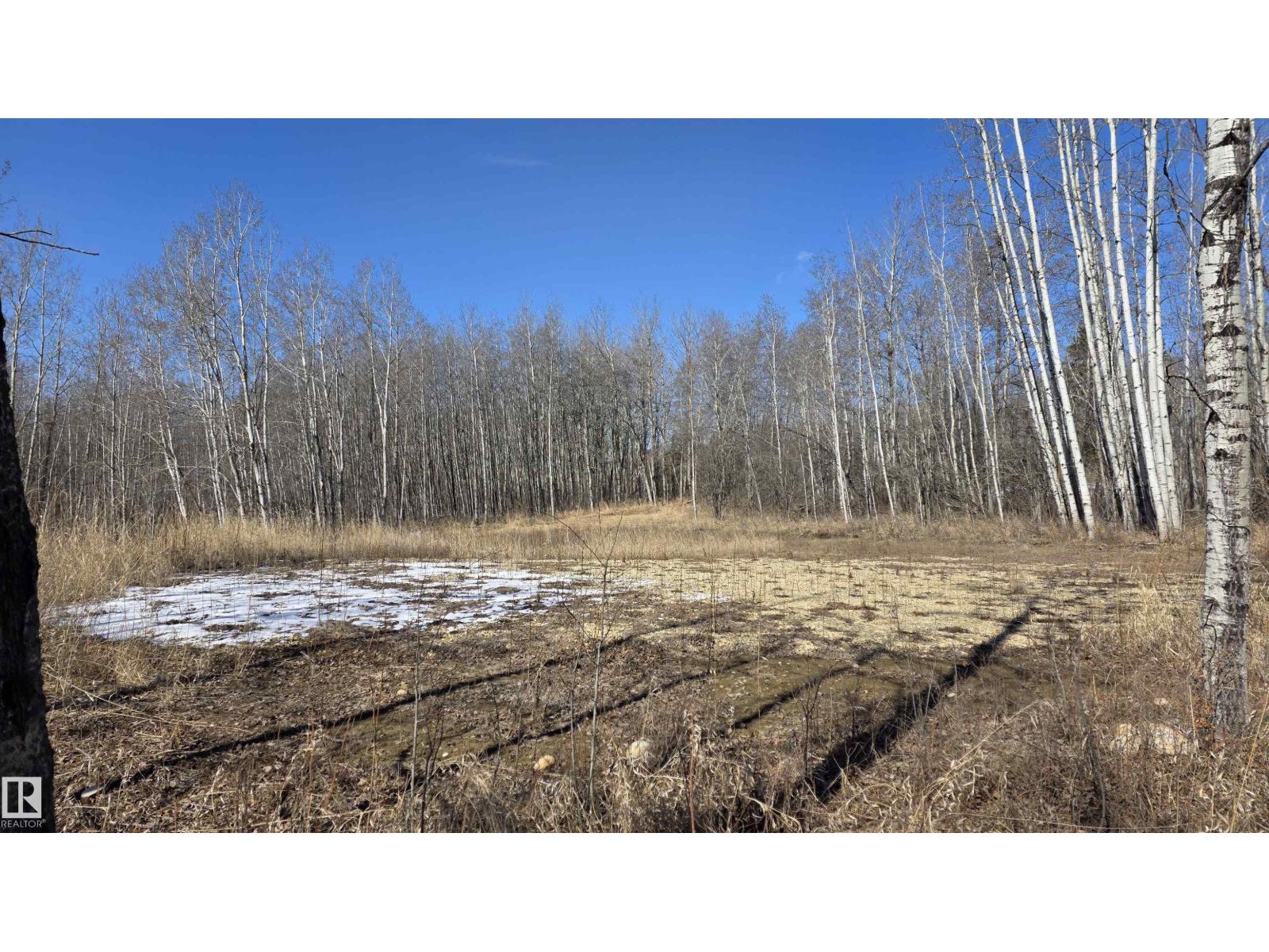 #13 50529 Rge Road 21, Rural Parkland County, Alberta  T7Y 2N4 - Photo 6 - E4484156