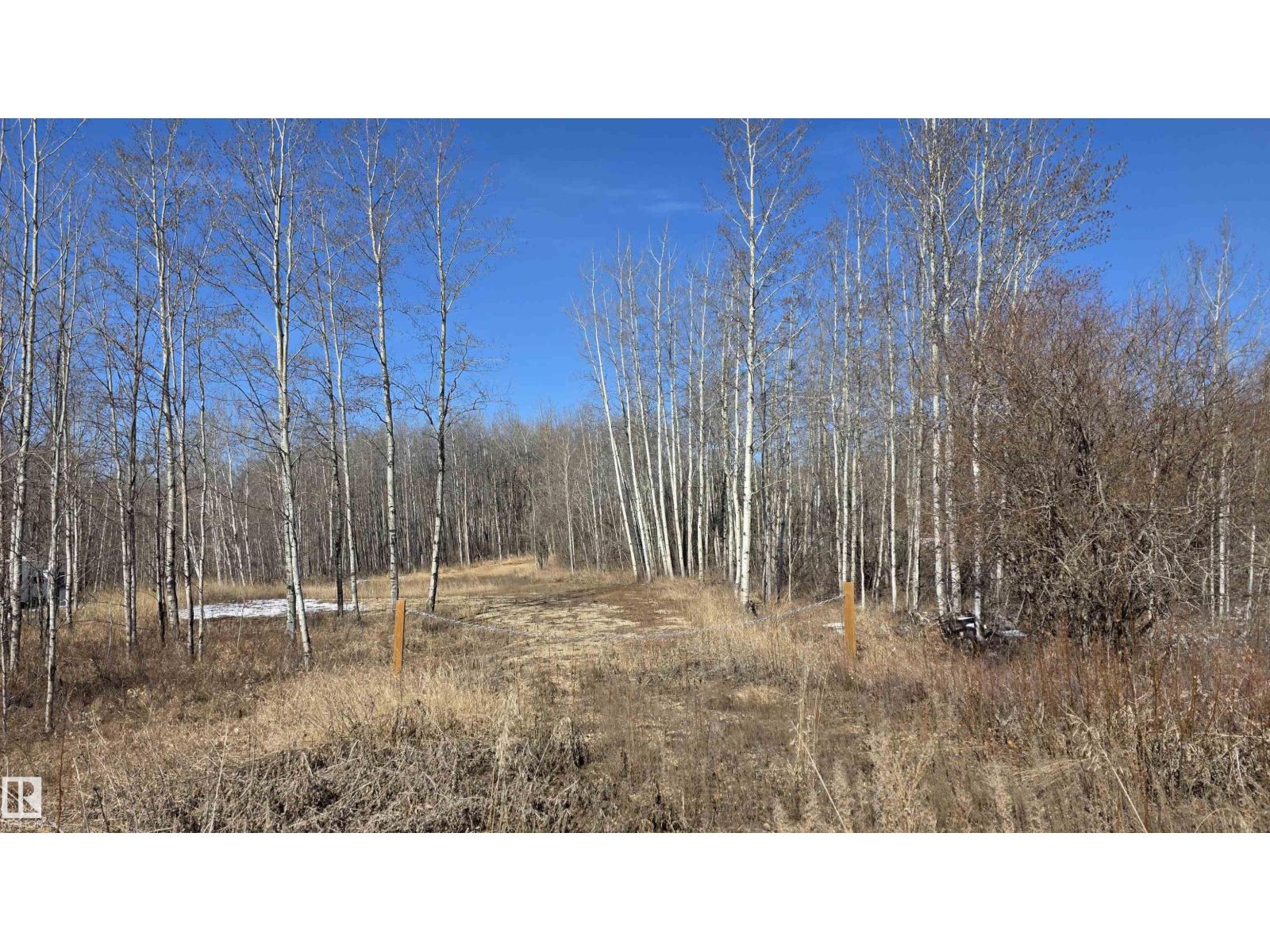 #13 50529 Rge Road 21, Rural Parkland County, Alberta  T7Y 2N4 - Photo 5 - E4484156