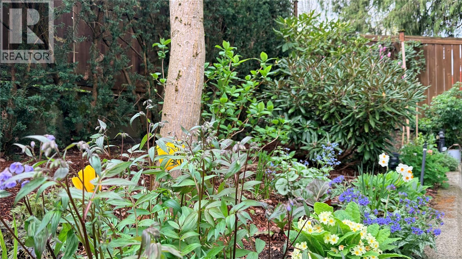 202 116 Queens Rd, Duncan, British Columbia  V9L 2W6 - Photo 29 - 1025867