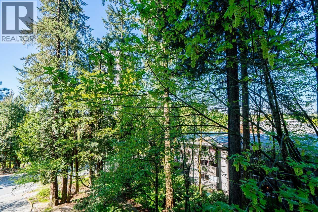 506 9541 Erickson Drive, Burnaby, British Columbia  V3J 7N8 - Photo 20 - R3116547