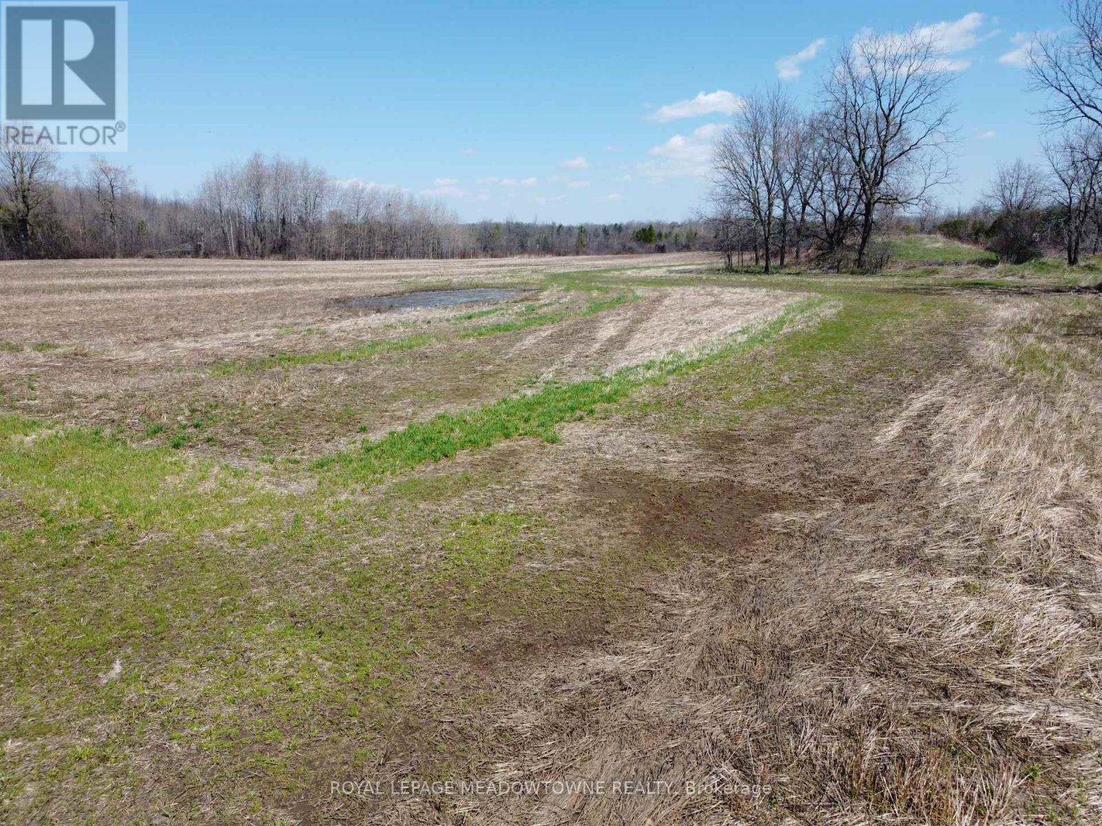 11080 First Line Nassagaweya, Milton, Ontario  L0P 1J0 - Photo 19 - W12808256