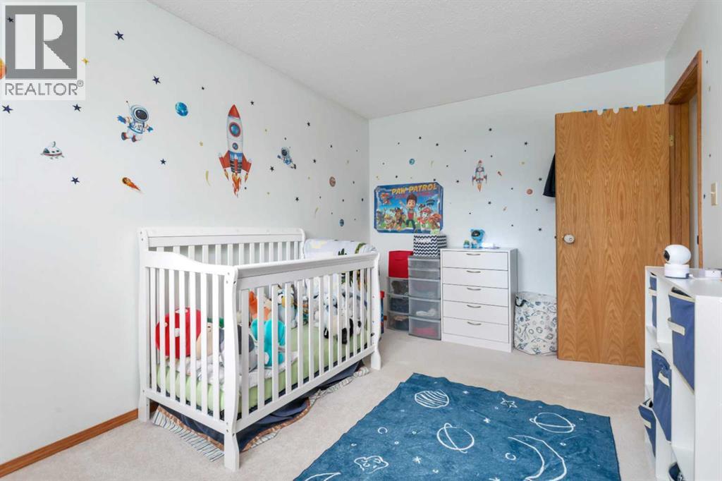 5751 55 Street, Rocky Mountain House, Alberta  T4T 1J7 - Photo 22 - A2305757