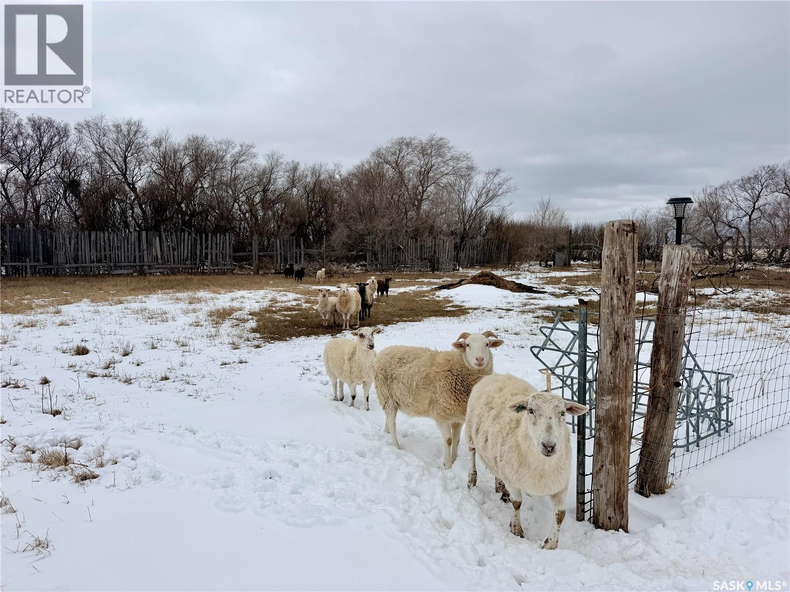 Rm Of Cut Knife Acreage, Cut Knife Rm No. 439, Saskatchewan  S0M 0N0 - Photo 37 - SK034066
