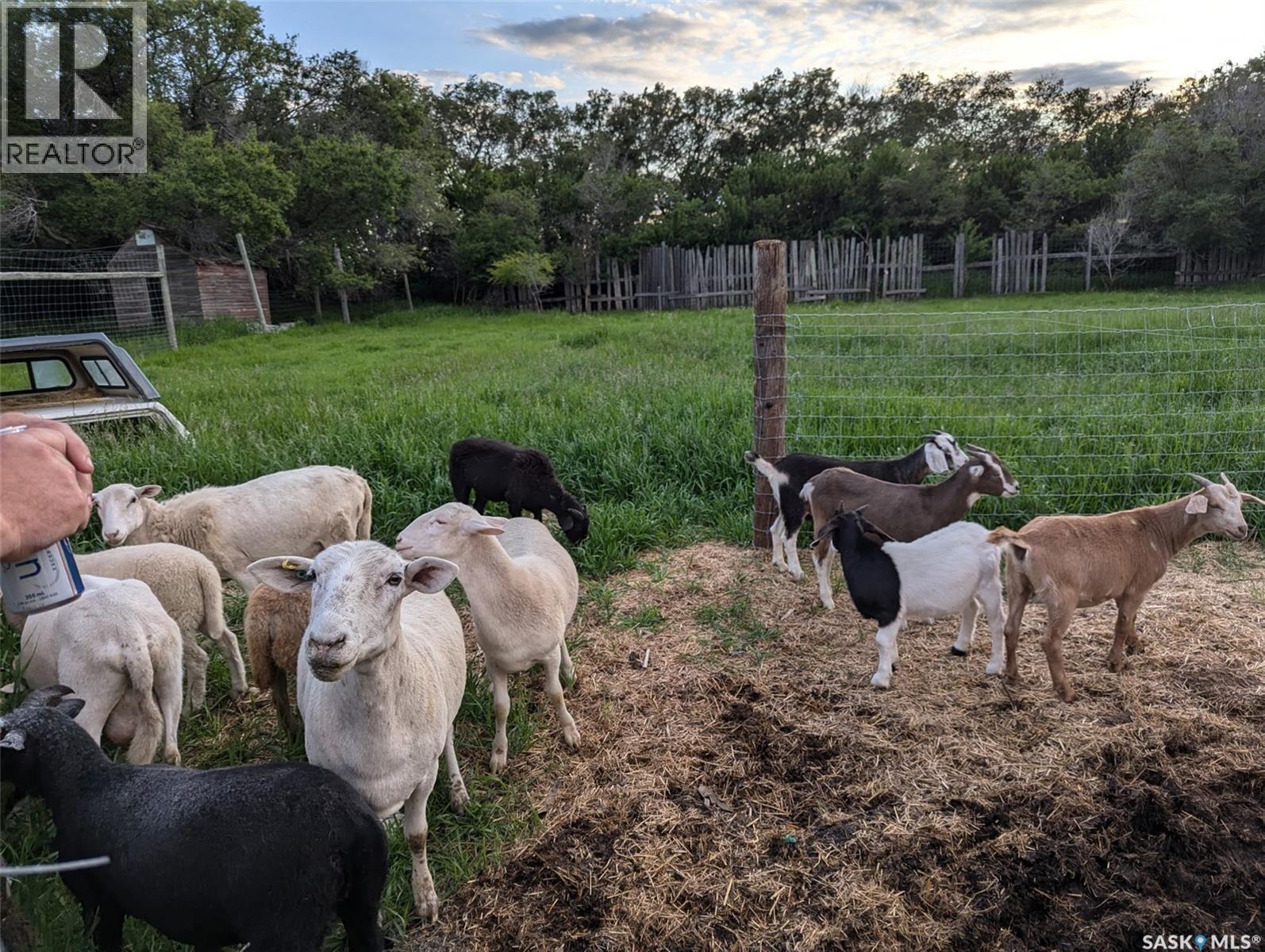 Rm Of Cut Knife Acreage, Cut Knife Rm No. 439, Saskatchewan  S0M 0N0 - Photo 44 - SK034066