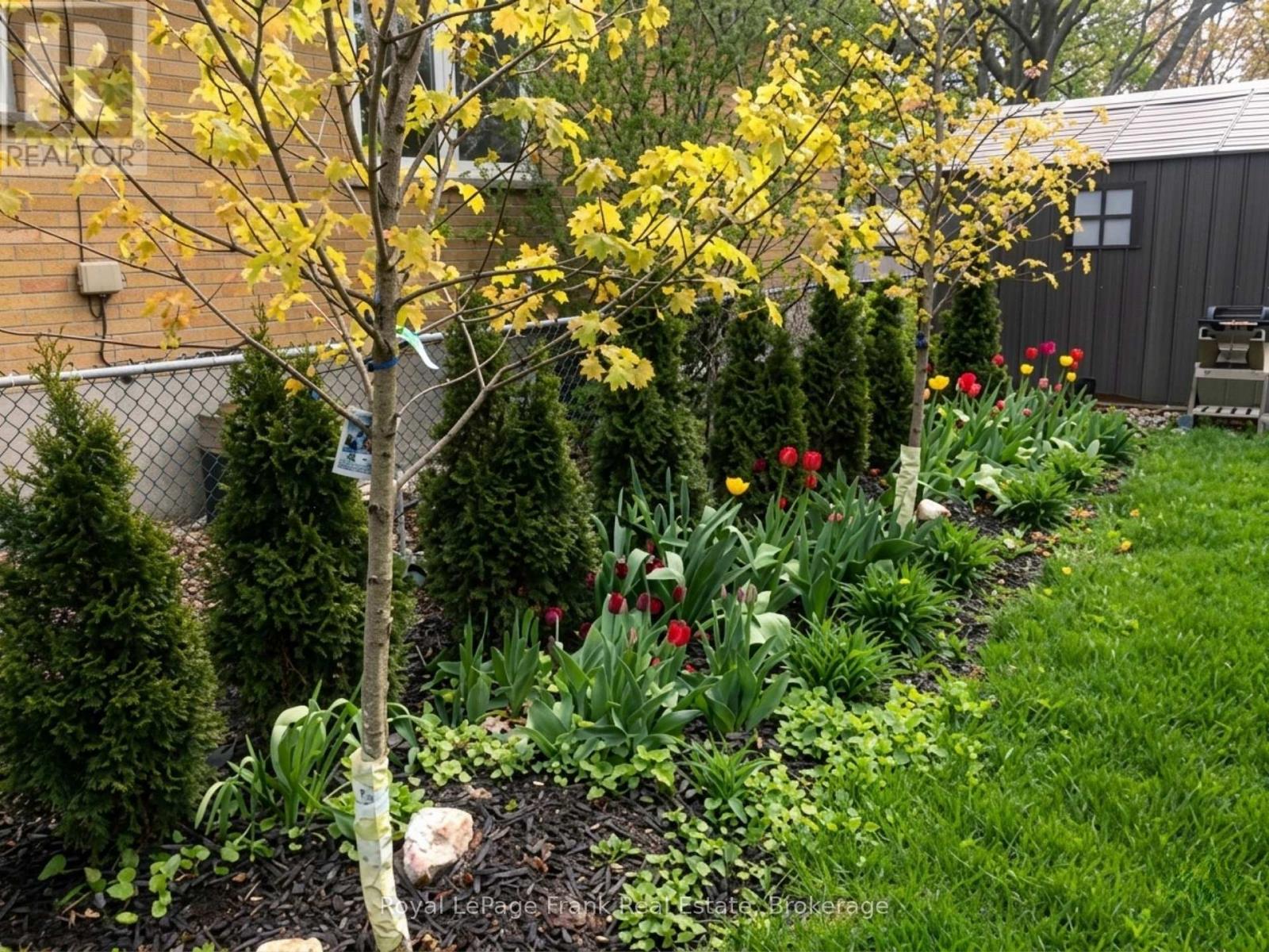 Lower - 249 Lucas Street, Richmond Hill, Ontario  L4C 4P9 - Photo 18 - N13050520