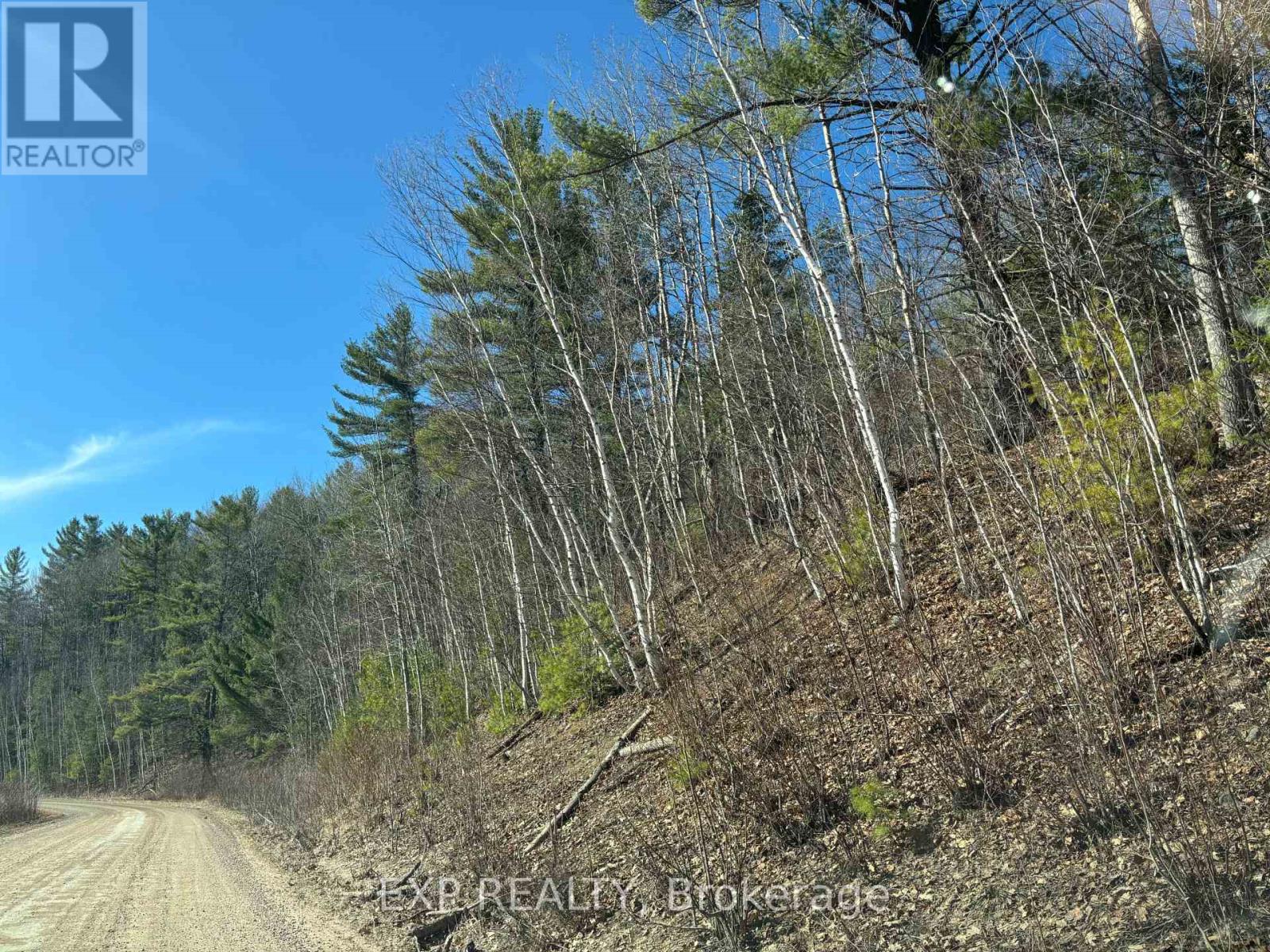 000 Opeongo Road, Madawaska Valley, Ontario  K0J 2N0 - Photo 11 - X13050296