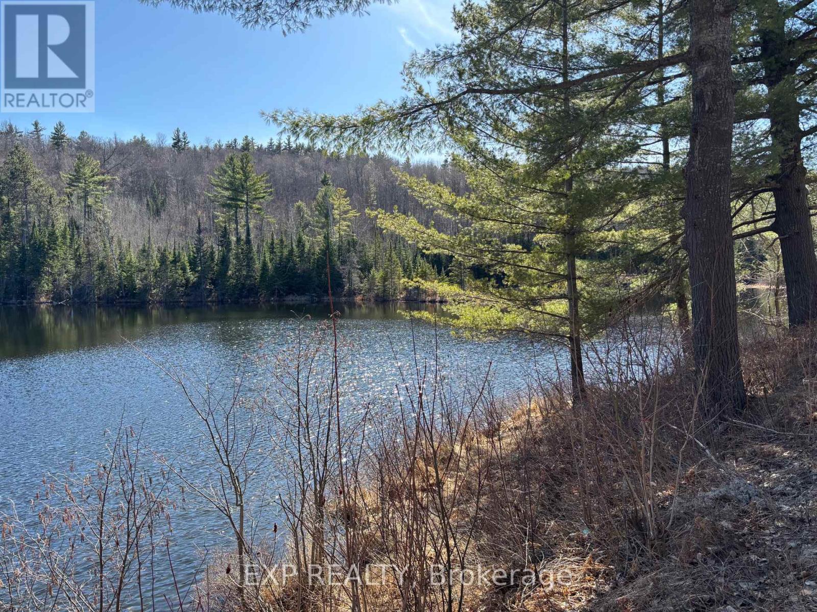 000 Opeongo Road, Madawaska Valley, Ontario  K0J 2N0 - Photo 2 - X13050296