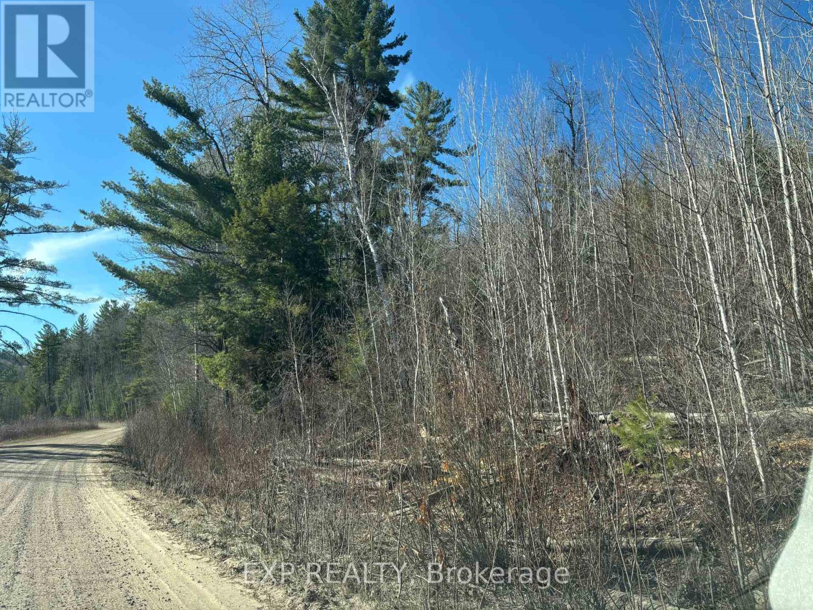 000 Opeongo Road, Madawaska Valley, Ontario  K0J 2N0 - Photo 6 - X13050296