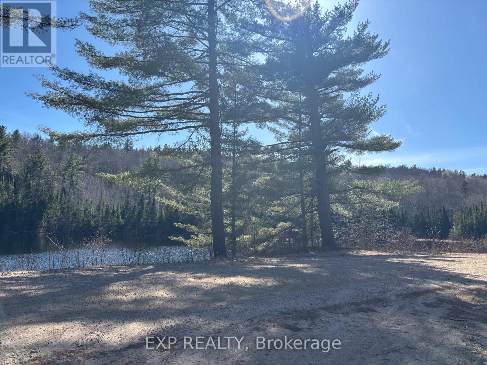 000 Opeongo Road, Madawaska Valley, Ontario  K0J 2N0 - Photo 4 - X13050296