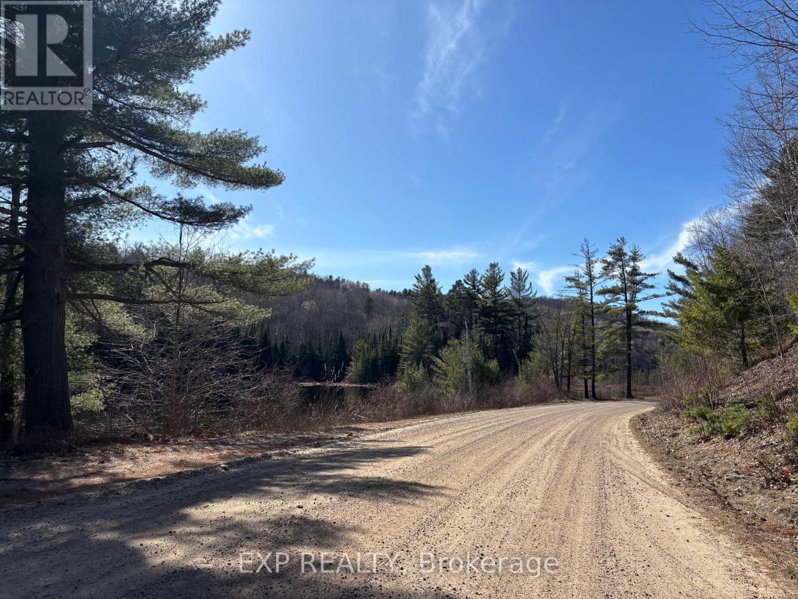 000 Opeongo Road, Madawaska Valley, Ontario  K0J 2N0 - Photo 7 - X13050296
