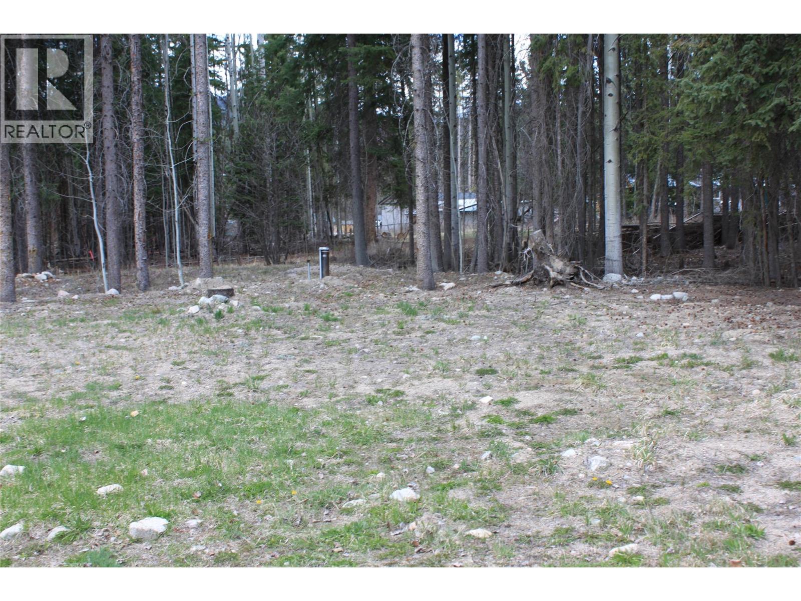 210 Link Lake Road, Princeton, British Columbia  V0H 1W0 - Photo 5 - 10384189