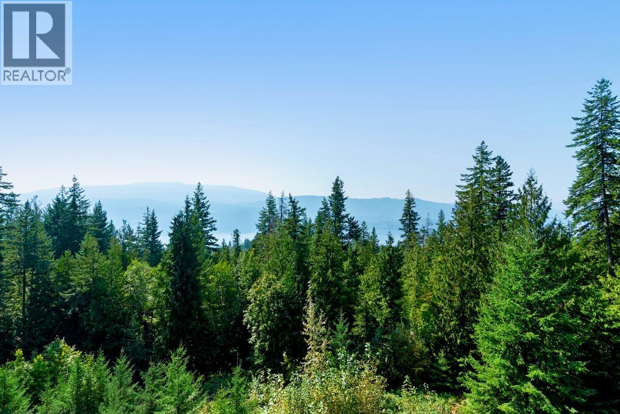 7660 Lichen Road, Anglemont, British Columbia  V0E 1M8 - Photo 49 - 10384254