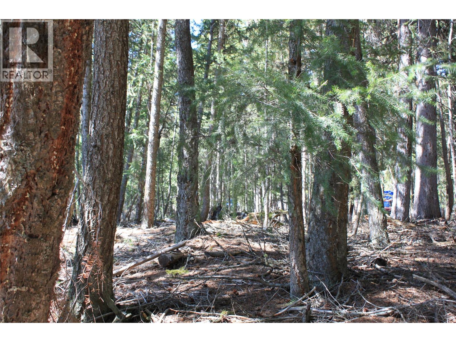 4209 Princeton Summerland Road, Princeton, British Columbia  V0X 1W0 - Photo 10 - 10385038