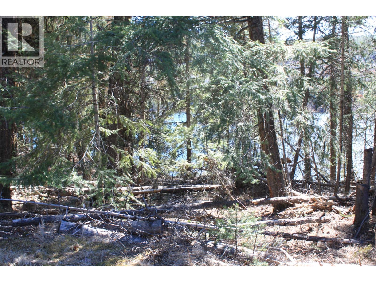 4209 Princeton Summerland Road, Princeton, British Columbia  V0X 1W0 - Photo 2 - 10385038