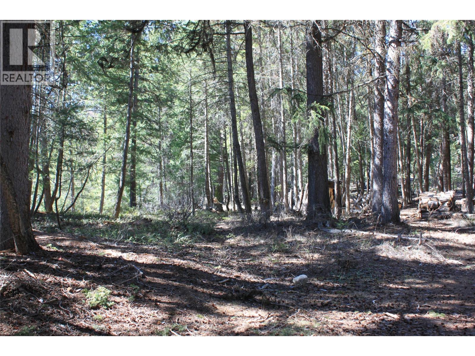 4209 Princeton Summerland Road, Princeton, British Columbia  V0X 1W0 - Photo 12 - 10385038