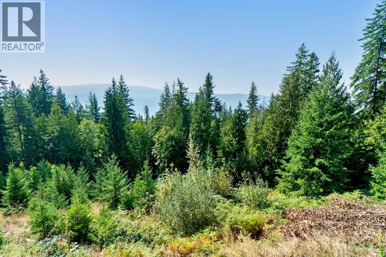 7660 Lichen Road, Anglemont, British Columbia  V0E 1M8 - Photo 44 - 10384254