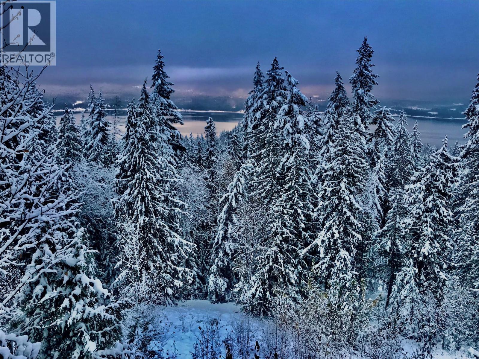 7660 Lichen Road, Anglemont, British Columbia  V0E 1M8 - Photo 45 - 10384254