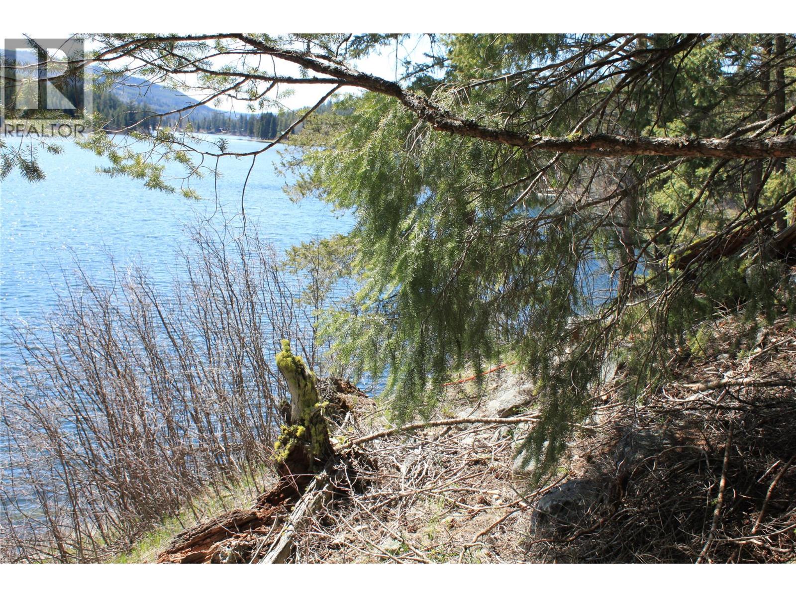 4209 Princeton Summerland Road, Princeton, British Columbia  V0X 1W0 - Photo 9 - 10385038