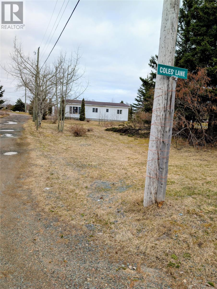 188 Main Road, Bloomfield, Newfoundland & Labrador  A0C 1A0 - Photo 15 - 1295711