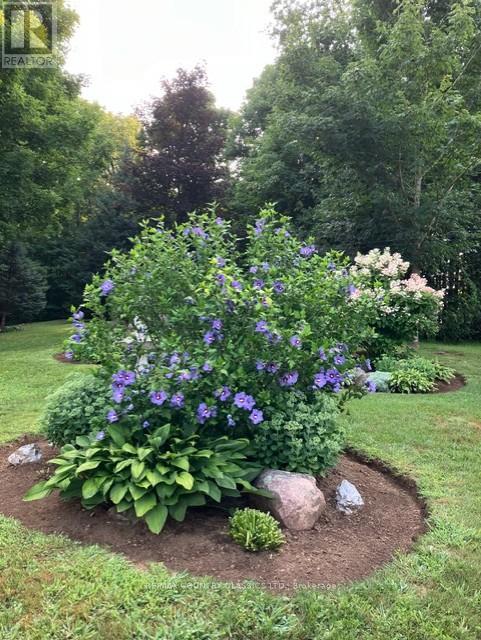 152 Bridge Street W, Bancroft, Ontario  K0L 1C0 - Photo 30 - X13051092