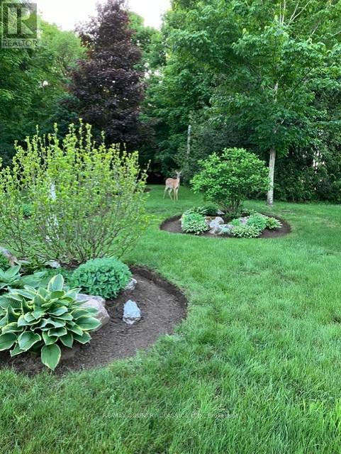 152 Bridge Street W, Bancroft, Ontario  K0L 1C0 - Photo 32 - X13051092