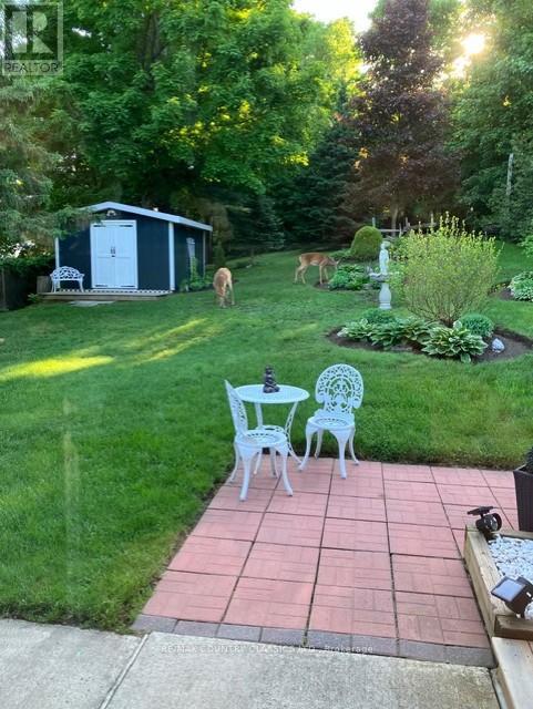 152 Bridge Street W, Bancroft, Ontario  K0L 1C0 - Photo 33 - X13051092