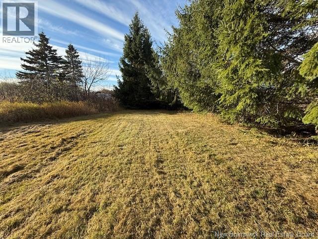 61 Laviolette Road, Belledune, New Brunswick  E8G 2G3 - Photo 39 - NB129353