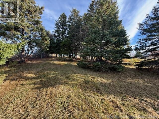 61 Laviolette Road, Belledune, New Brunswick  E8G 2G3 - Photo 38 - NB129353