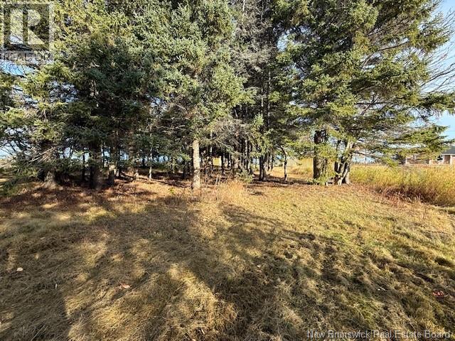 61 Laviolette Road, Belledune, New Brunswick  E8G 2G3 - Photo 40 - NB129353