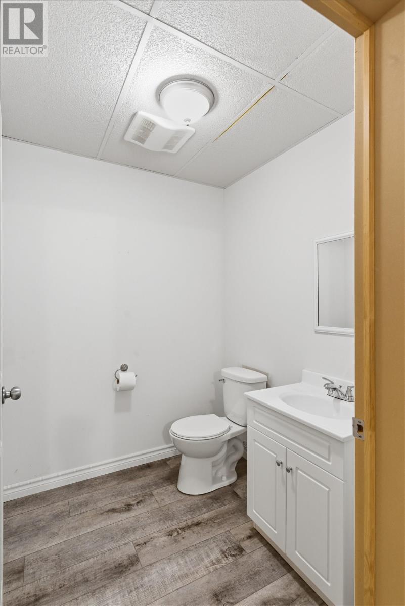 131 Harmsworth Drive, Grand Falls-Windsor, Newfoundland & Labrador  A2A 2Y7 - Photo 47 - 1296623