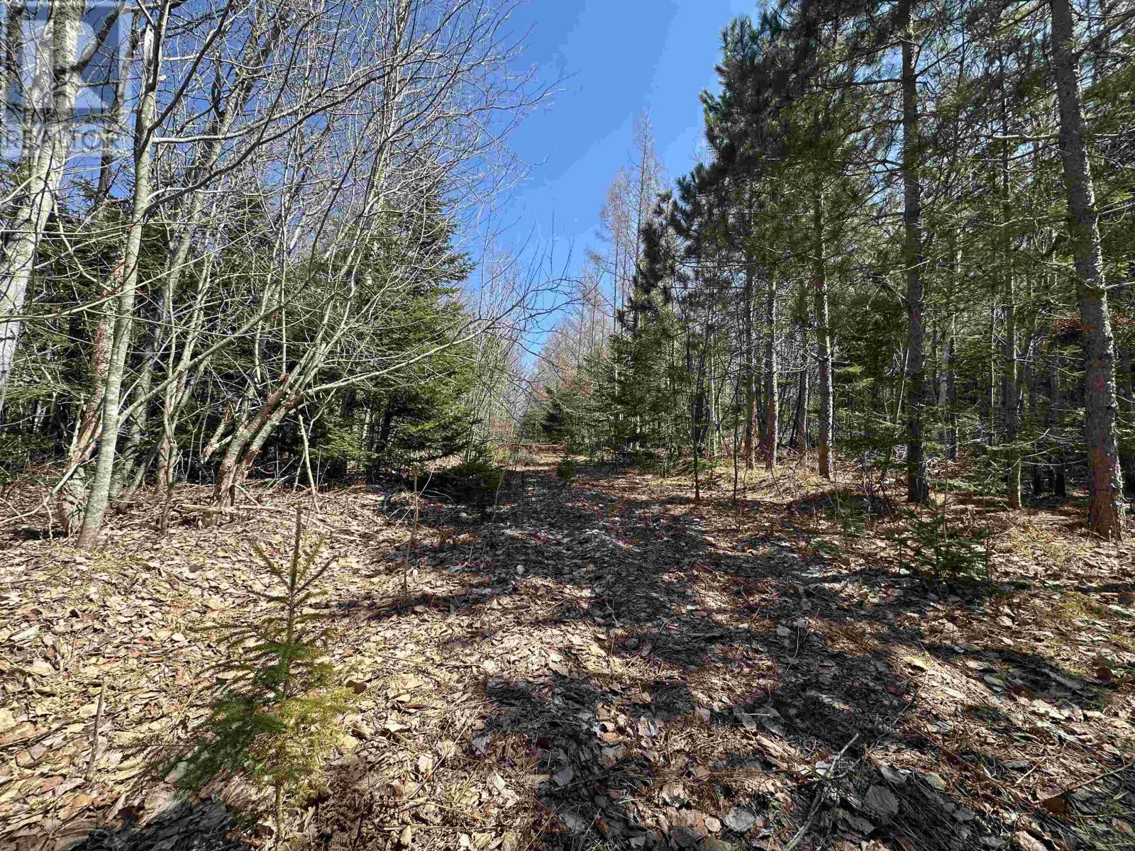 Settlement Road, Lyndale, Prince Edward Island  C0A 1A0 - Photo 10 - 202608771