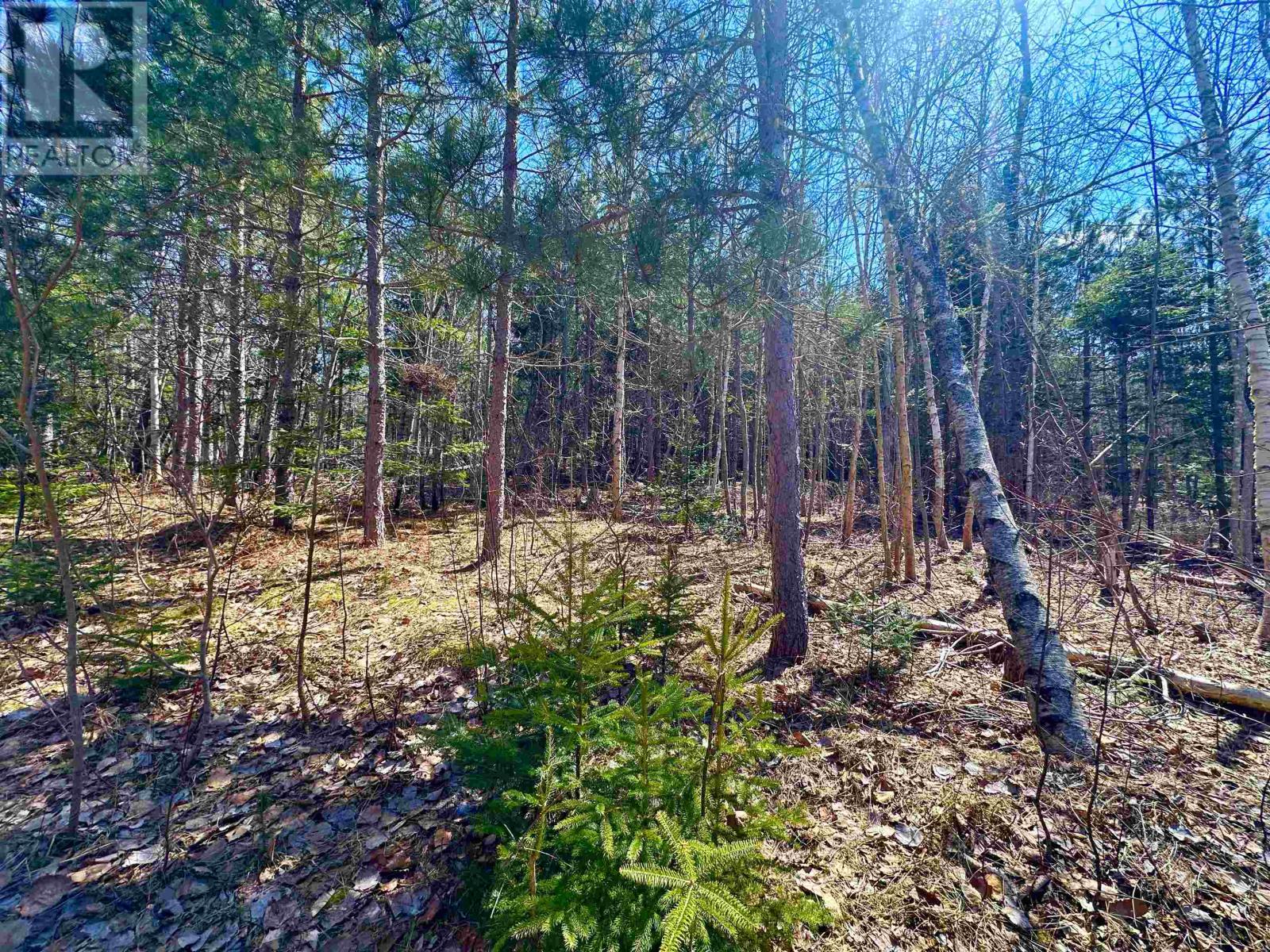 Settlement Road, Lyndale, Prince Edward Island  C0A 1A0 - Photo 11 - 202608771