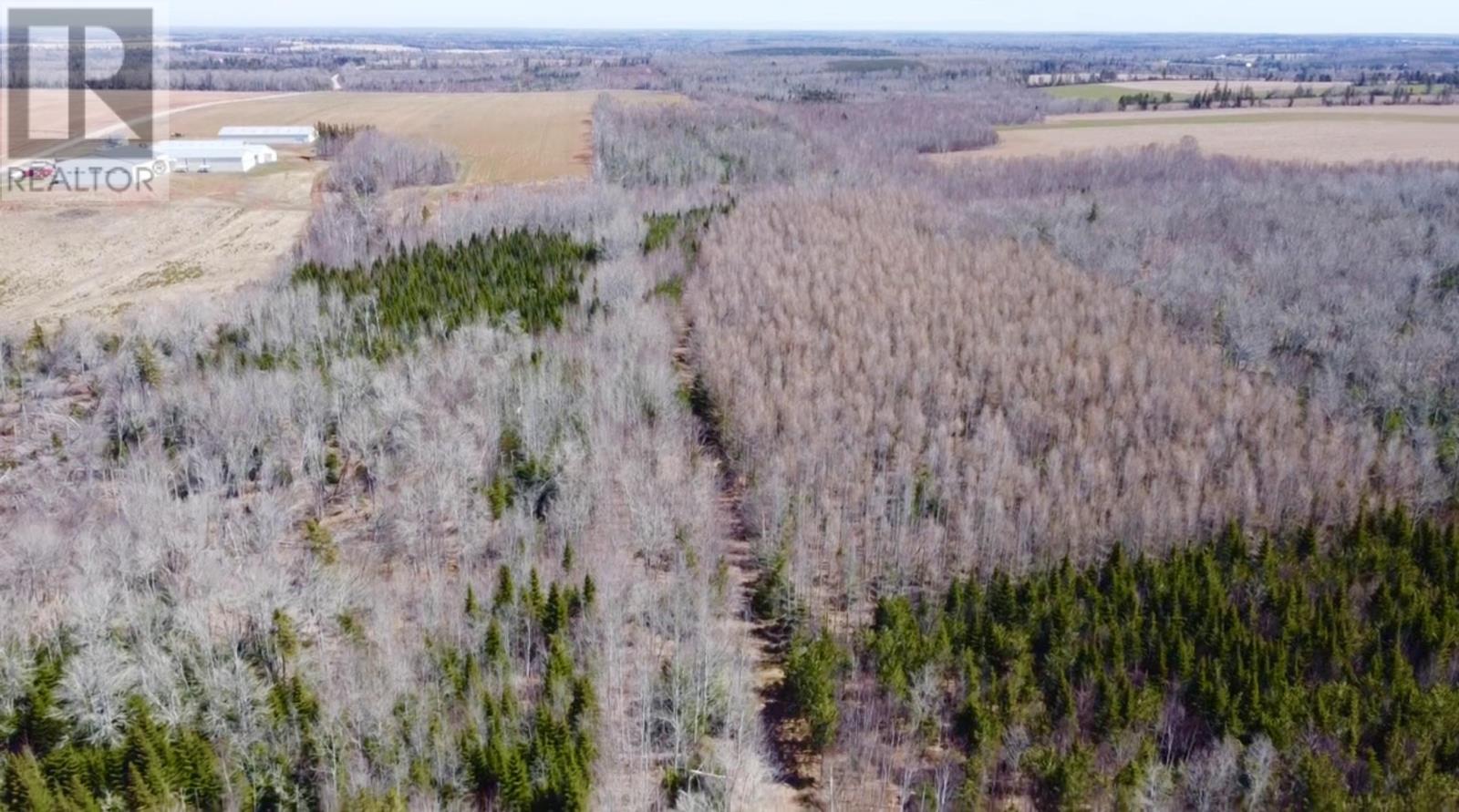 Settlement Road, Lyndale, Prince Edward Island  C0A 1A0 - Photo 3 - 202608771