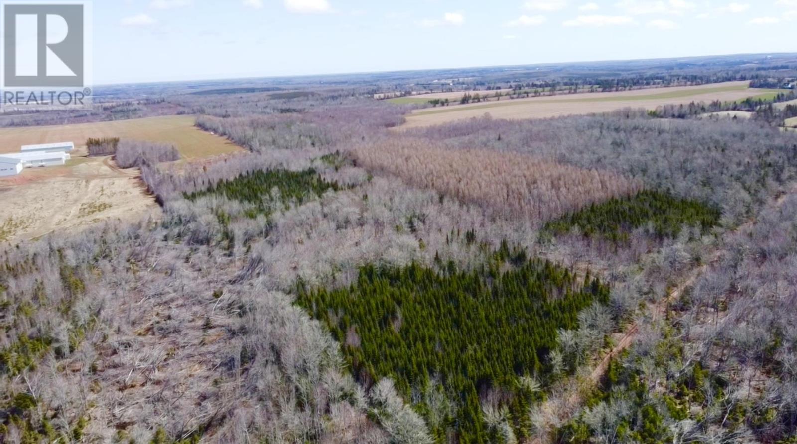 Settlement Road, Lyndale, Prince Edward Island  C0A 1A0 - Photo 4 - 202608771