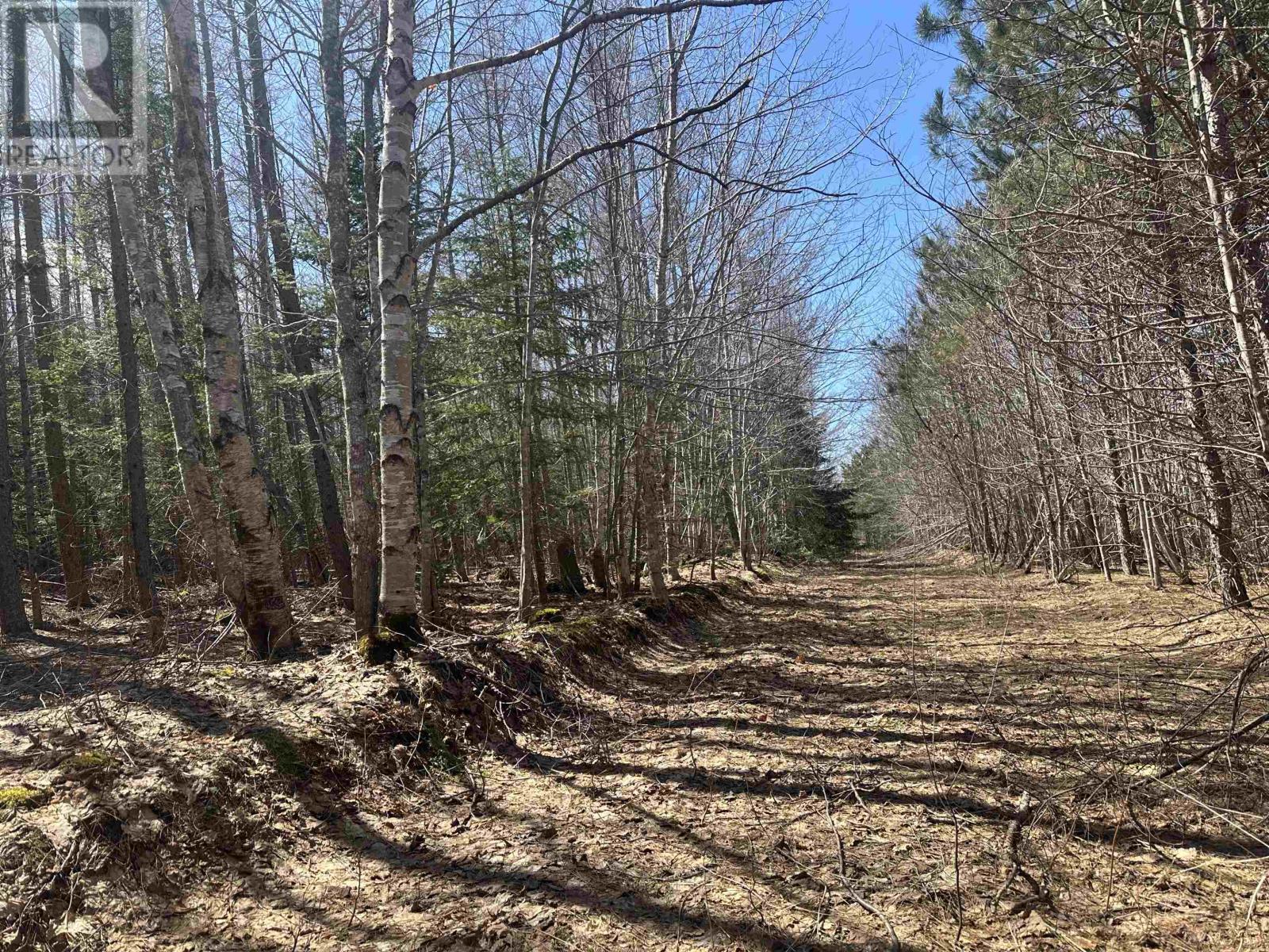 Settlement Road, Lyndale, Prince Edward Island  C0A 1A0 - Photo 8 - 202608771