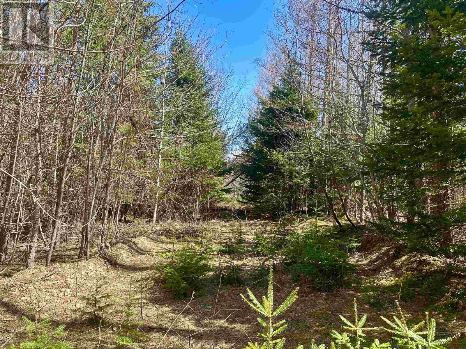 Settlement Road, Lyndale, Prince Edward Island  C0A 1A0 - Photo 9 - 202608771