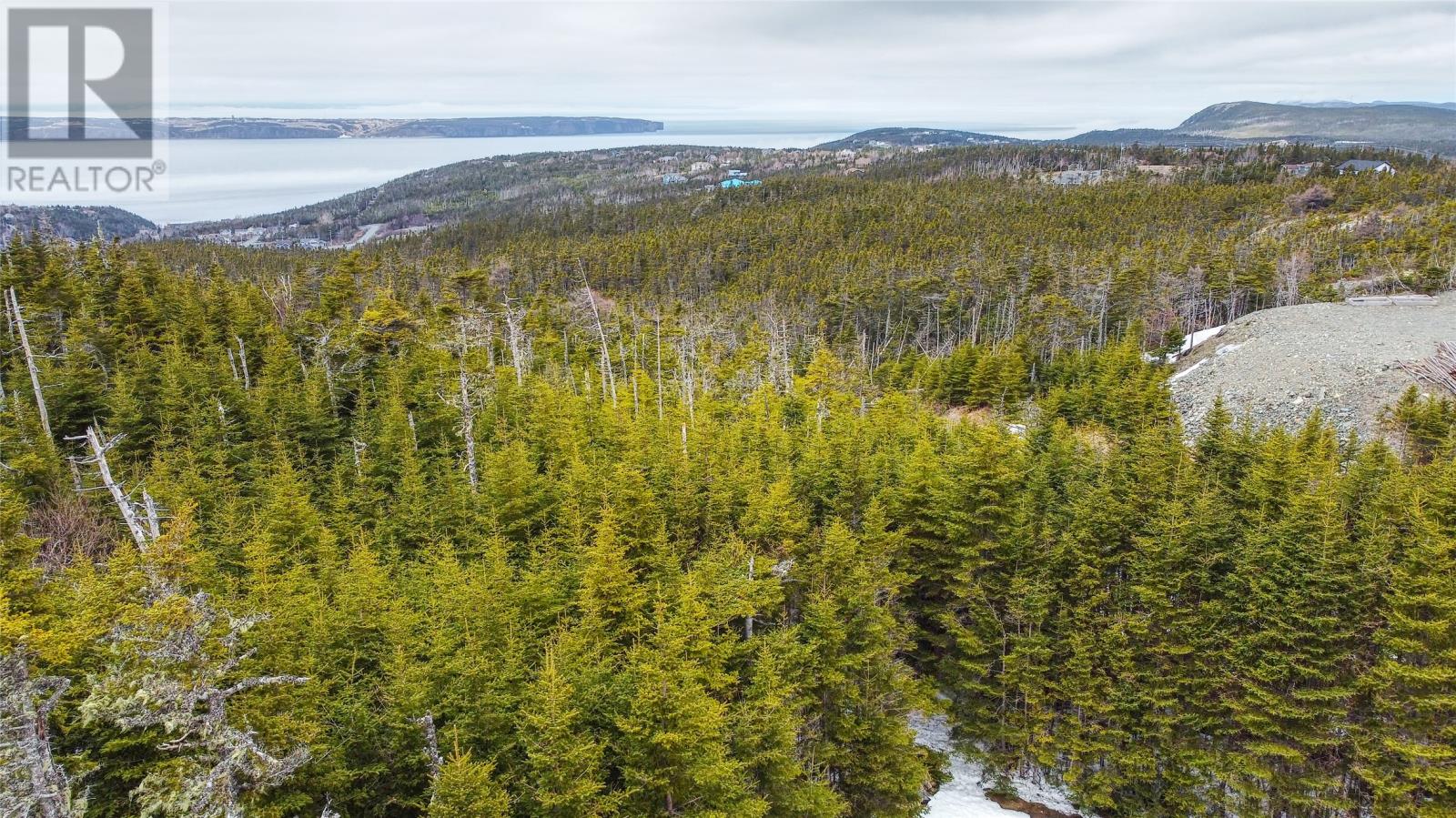 28 Skinners Road, Portugal Cove - St. Philips, Newfoundland & Labrador  A1M 1S1 - Photo 17 - 1296655