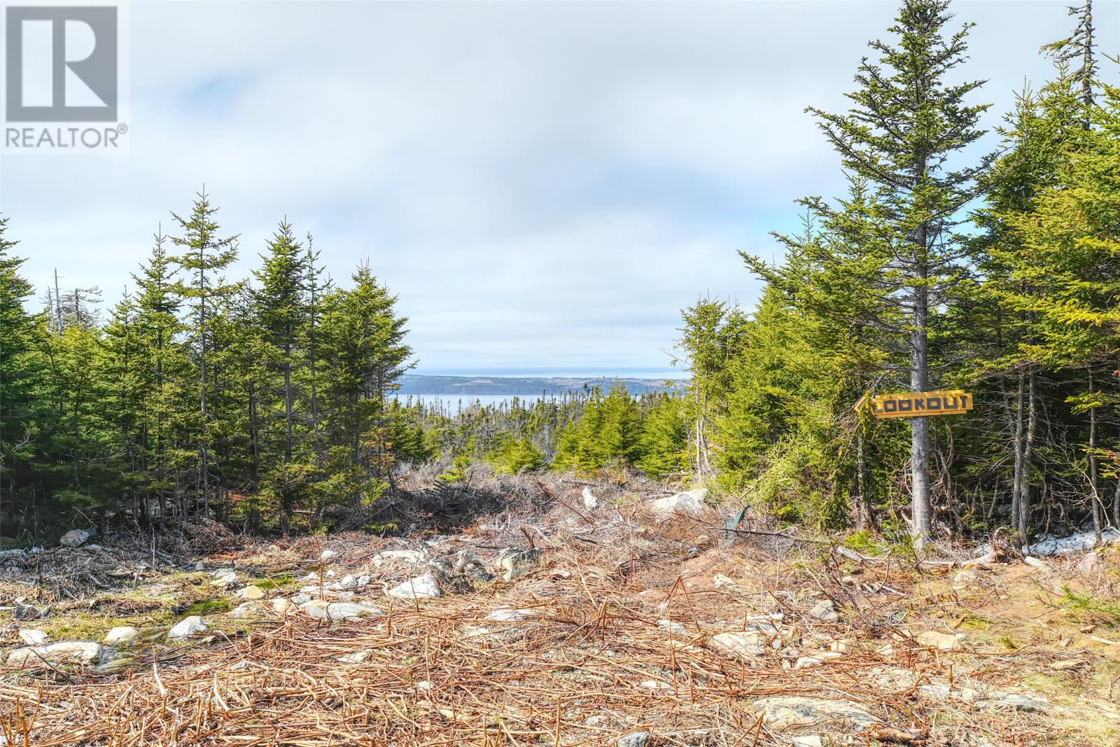 28 Skinners Road, Portugal Cove - St. Philips, Newfoundland & Labrador  A1M 1S1 - Photo 18 - 1296655